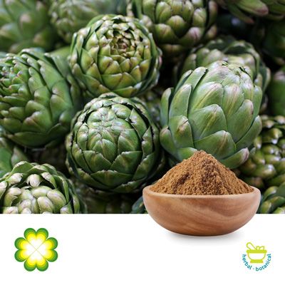 Artichoke Extract 5% Cynarin UV by Xi’an Rainbow