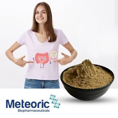 Bacillus Subtilis 100 Billion (MB BSM12) by Meteoric Biopharmaceuticals