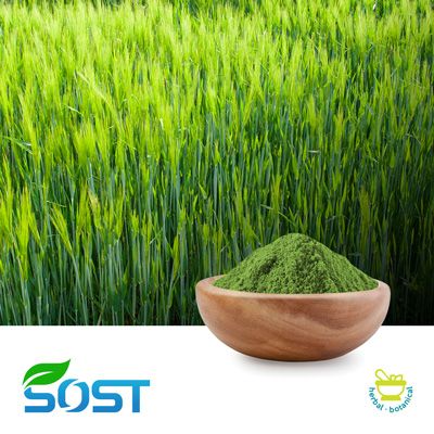 Barley Grass Powder by SOST