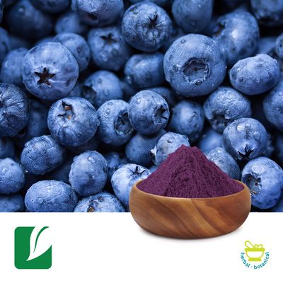 Bilberry Extract 25% Anthocyanins by Xi'an Longze