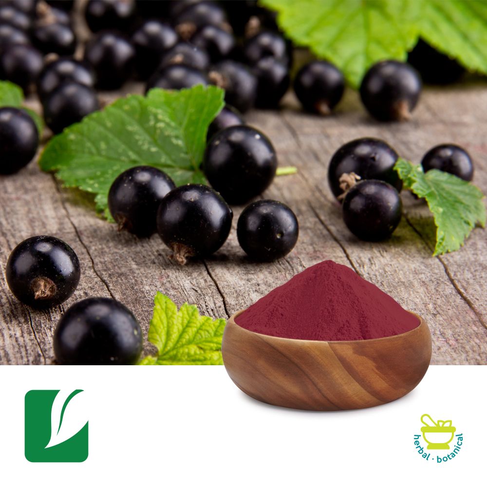 Black Currant Fruit Powder by Xi'an Longze