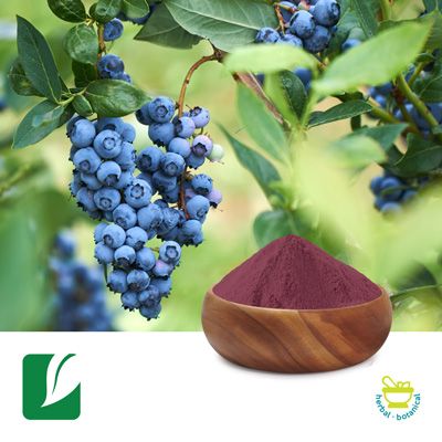 Blueberry Fruit Powder by Xi'an Longze