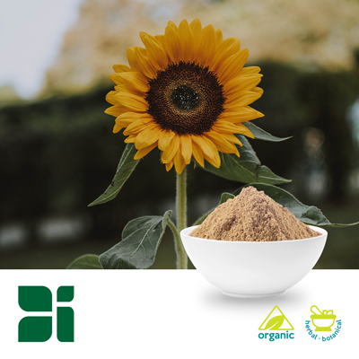 Organic Sunflower Seed Powder by Botanic Innovations