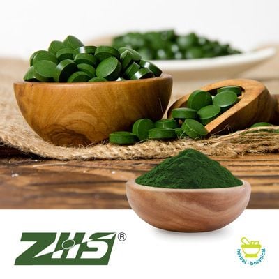 Chlorella Powder (Broken Cell) by ZHS