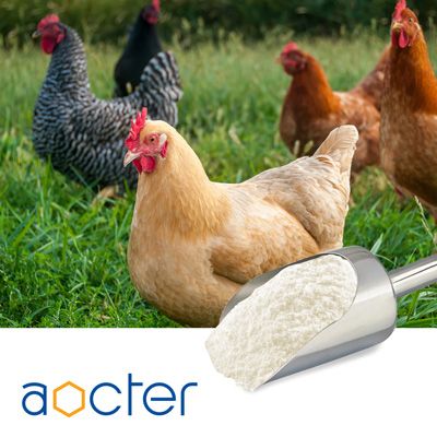 Choline Chloride 50% Silica by Aocter