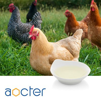 Choline Chloride 75% Liquid by Aocter