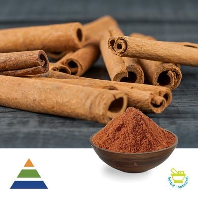 Cinnamon Extract 10:1 by KS Nutripharma