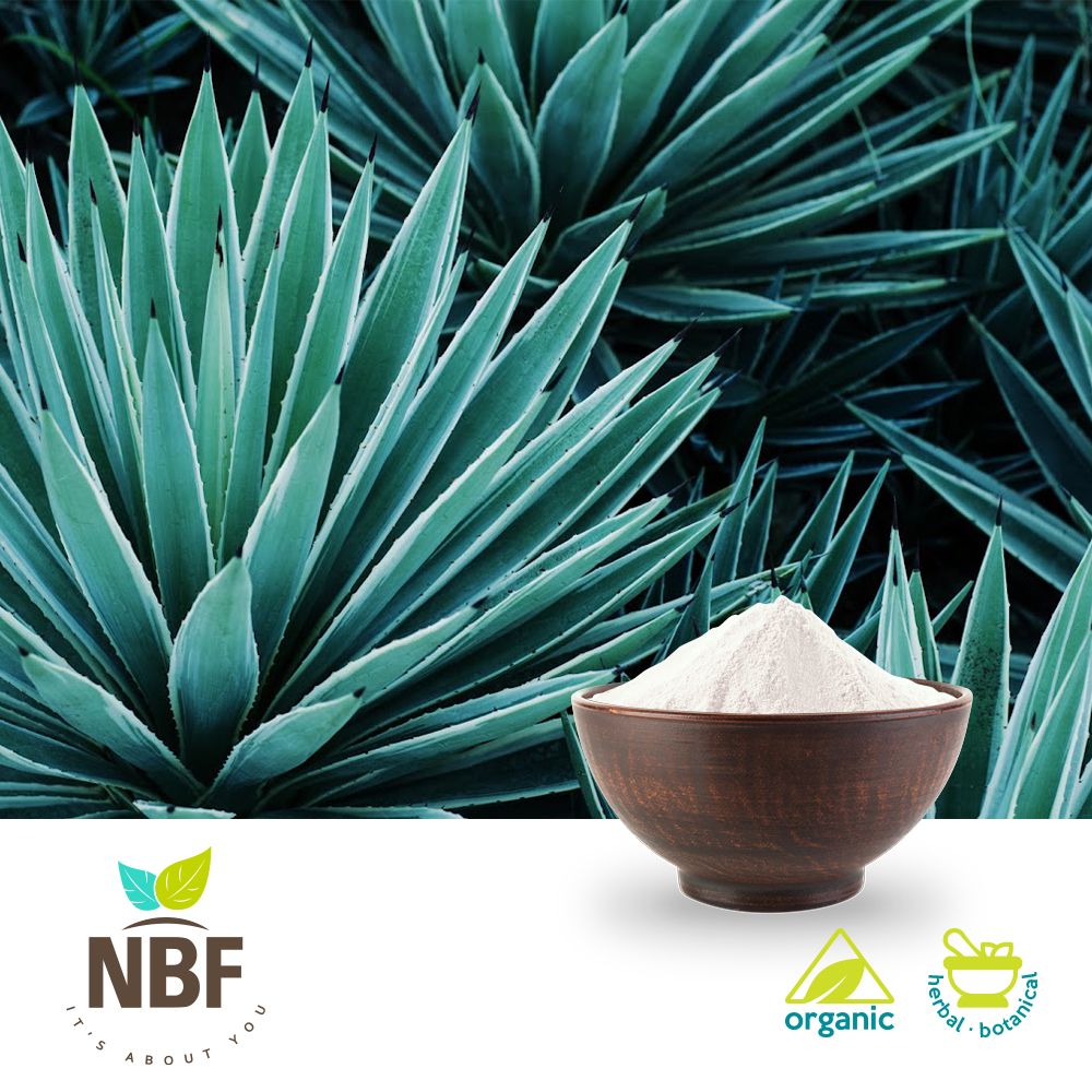 Organic Agave Inulin Powder by NB Foods