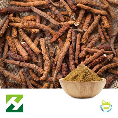 Cordyceps Sinensis Extract 40% Polysaccharides by Organic Herb Inc