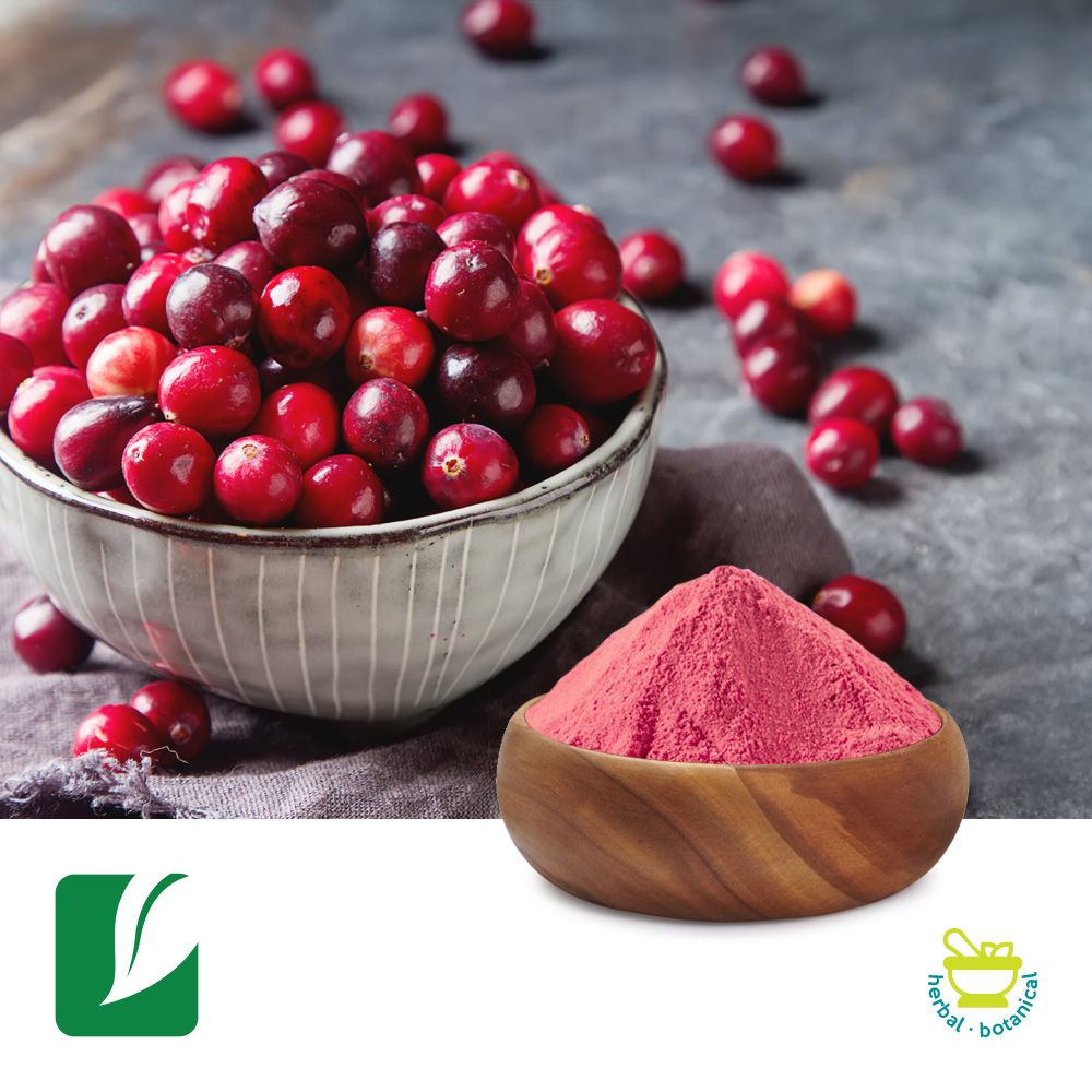 Cranberry Fruit Powder by Xi'an Longze