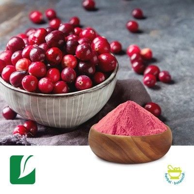 Cranberry Extract 4:1 by Xi'an Longze