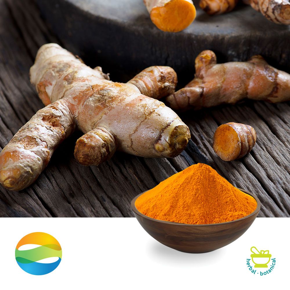 Turmeric Extract Curcumin 95% by CCGB
