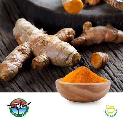 Turmeric Extract 4:1 Powder by Ningbo Herb