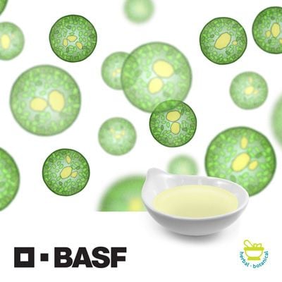 DHA Algal Oil by BASF