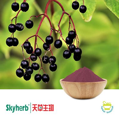 Elderberry Extract 10:1 by Skyherb