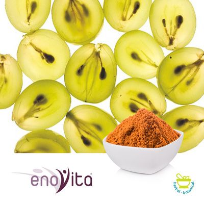 Grape Seed Extract 95% (European Source) by Indena