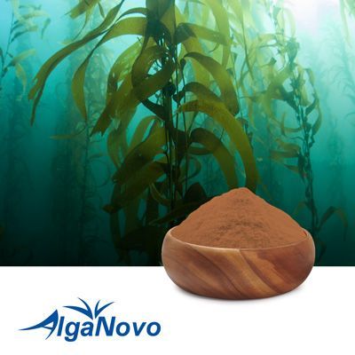 Fucoxanthin 10% UV by AlgaNovo