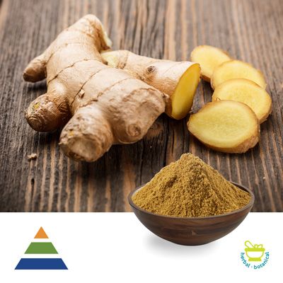 Ginger Extract 10:1 by KS Nutripharma