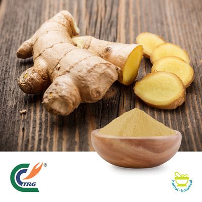 Ginger Extract 4:1 by Hanzhong TRG