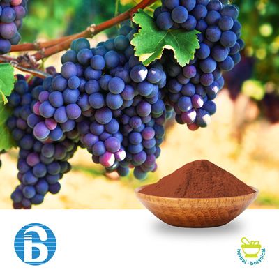 Grape Seed Extract 95% PC by BannerBio