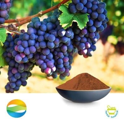 Grape Seed Extract 95 Proan. 80% Phenols UV by CCGB