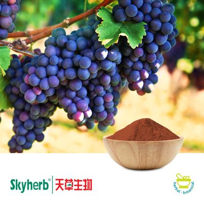 Grape Seed Extract 75% OPC(HPLC) by Skyherb