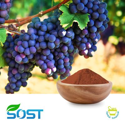 Grape Seed Extract 98% Proan by SOST
