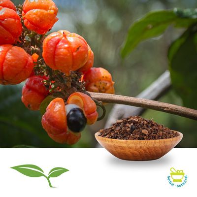 Guarana Seed CFP by American Botanicals