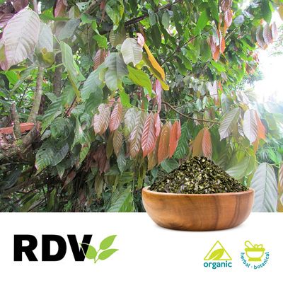 Organic Guayusa Leaves by RDV Products