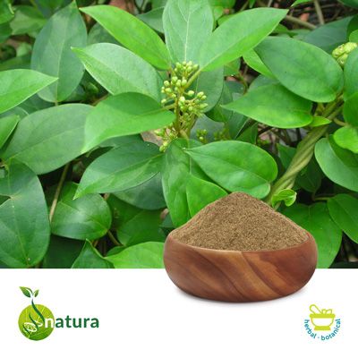 Gymnema Sylvestre P.E. 75% by Natura Biotechnol