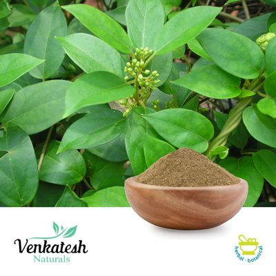 Gymnema Sylvestre 25% by Gravimetry by Venkatesh Naturals