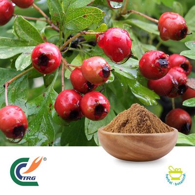 Hawthorn Berry Extract 5:1 by Hanzhong TRG