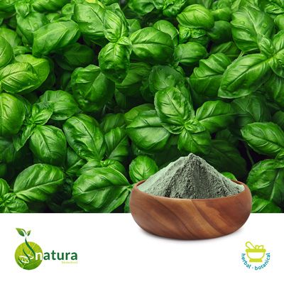 Holy Basil Extract 2.5% Ursolic Acid by Natura Biotechnol