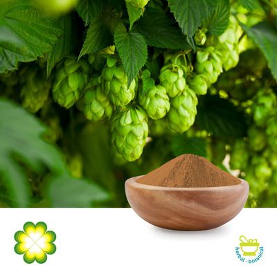 Hops Extract 10% Xanthohumol by Xi’an Rainbow