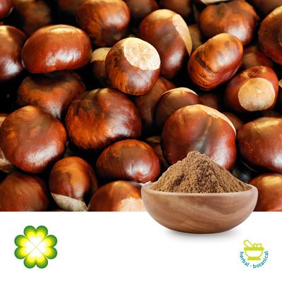 Horse Chestnut Extract 20% Aescin by UV by Xi’an Rainbow