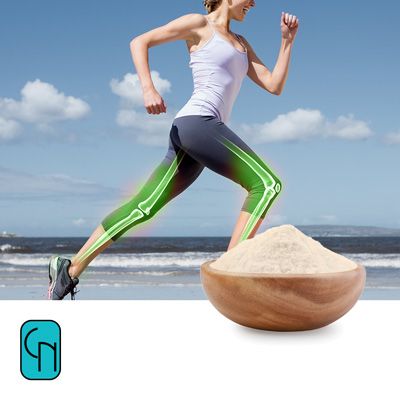 Hydrolyzed Kollagen I.V.X.HEM™ (Eggshell Membrane Collagen) by Certified Nutraceuticals