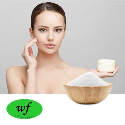 Collagen Type II (Chondroitin Sulfate 27% Min) by WF Collagen