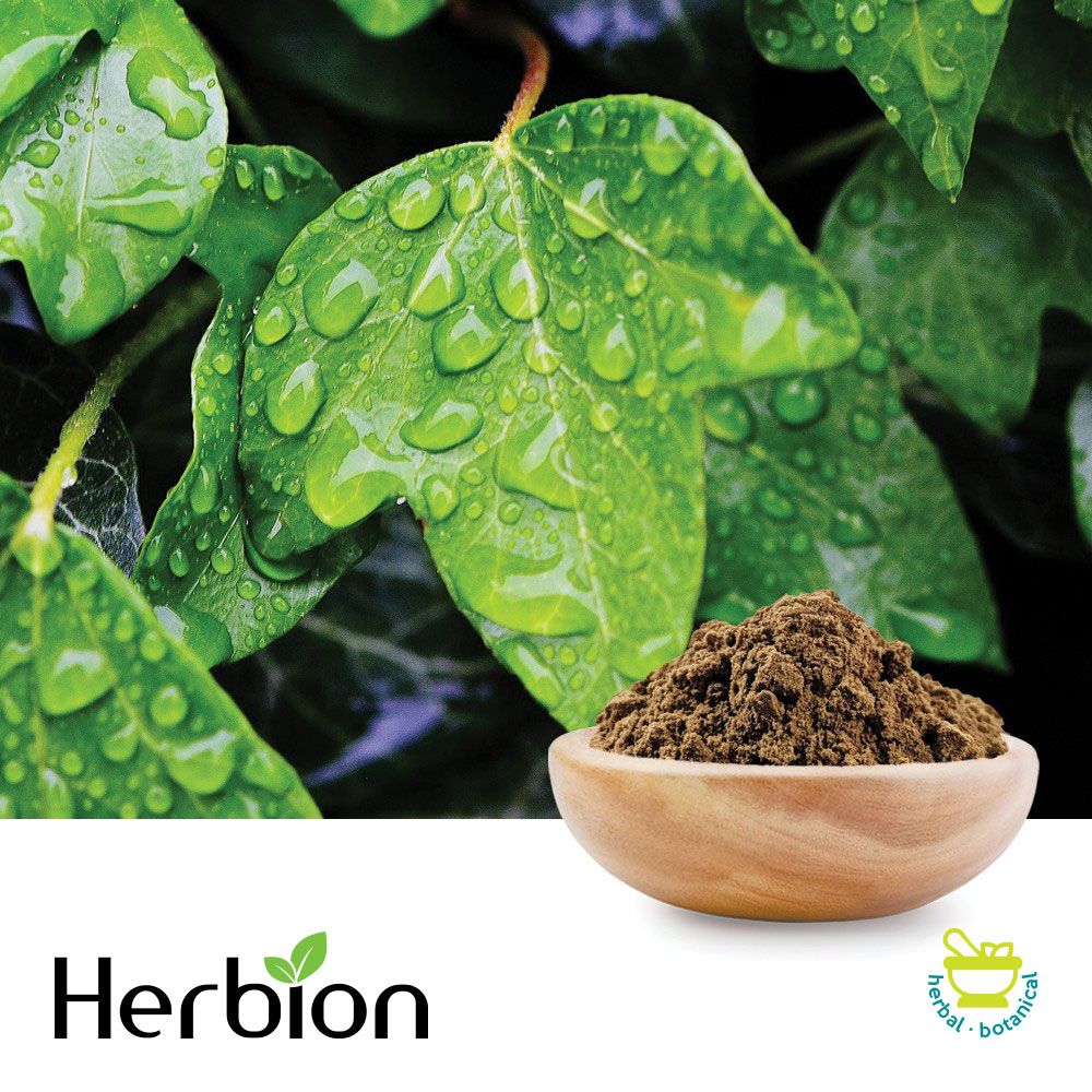 English Ivy Leaf Powder Extract, Hederacoside C NLT 10% by Herbion Naturals