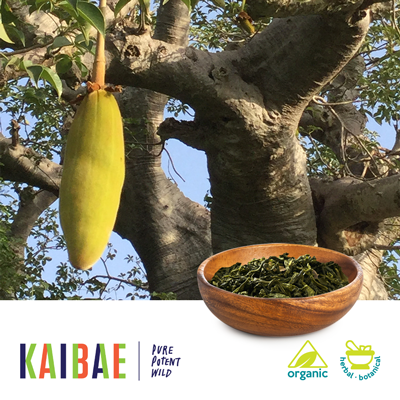 Organic Baobab Leaf by KAIBAE