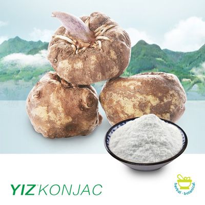 Konjac Gum (Glucomannan 90%) (YZ-J-25) by Yizhi Konjac