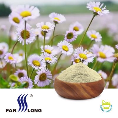 Lifeflower® Breviscapine 90% by Farlong