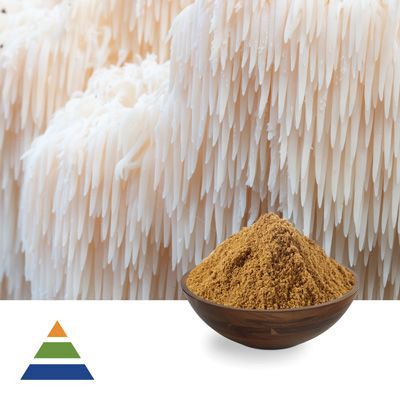 Lion's Mane Mushroom (Hericium Erinaceus) Extract Polysaccharides 30% by KS Nutripharma
