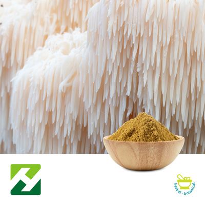 Lion's Mane Mushroom Extract 30% Polysaccharides UV (25kg Drum) by Organic Herb Inc.