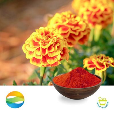 Lutein Esters 10% by CCGB