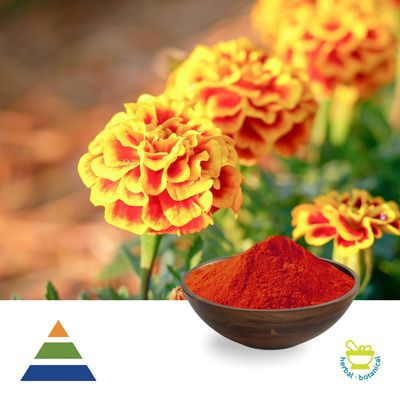 Lutein Esters 10% Powder by KS Nutripharma