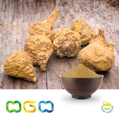 Lemon Balm Extract Powder 4:1 by Herb Green Health