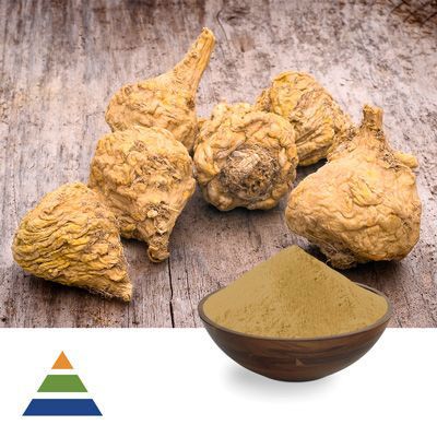 Maca Extract 10:1 by KS Nutripharma