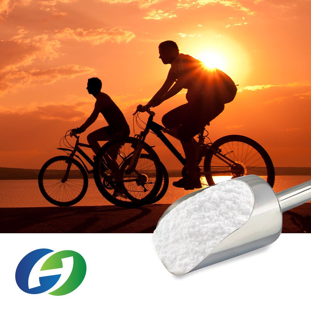 Magnesium Lactate Powder by Honghui