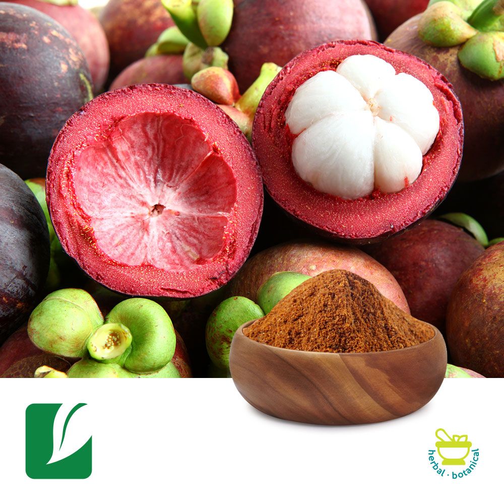 Mangosteen Fruit Powder by Xi'an Longze