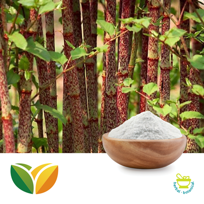 Resveratrol 98% (Polygonum Cuspidatum Extract) by Tianhua Pharmaceutical